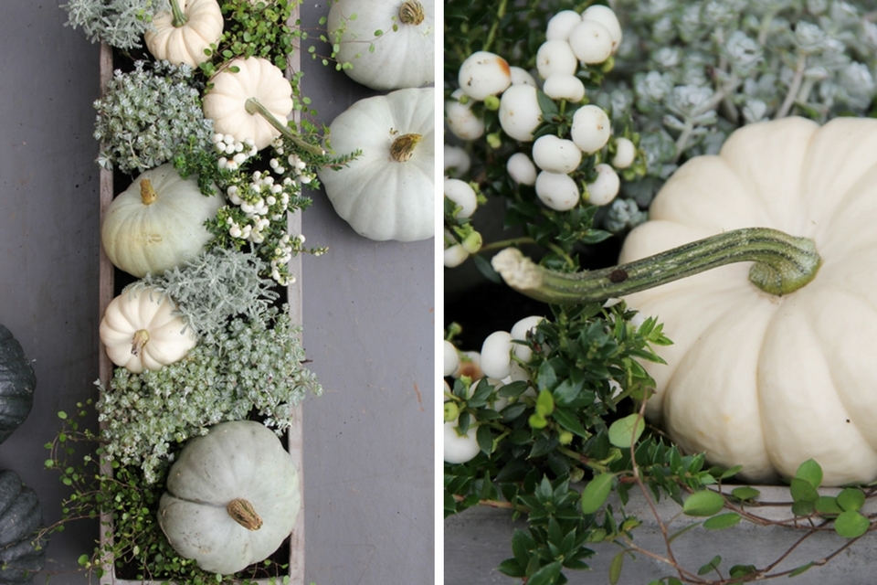 Thanksgiving Table Decor